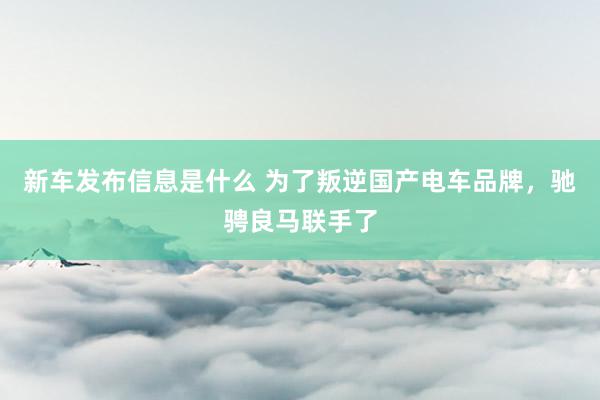 新车发布信息是什么 为了叛逆国产电车品牌，驰骋良马联手了