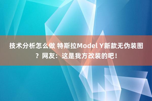 技术分析怎么做 特斯拉Model Y新款无伪装图？网友：这是我方改装的吧！