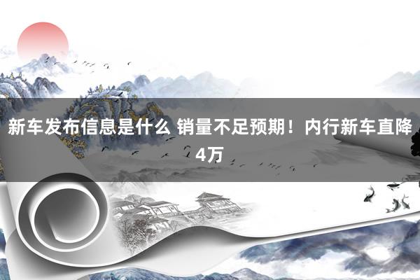 新车发布信息是什么 销量不足预期！内行新车直降4万