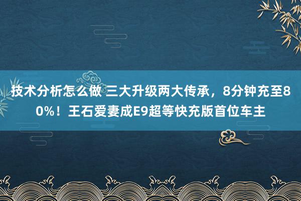 技术分析怎么做 三大升级两大传承，8分钟充至80%！王石爱妻成E9超等快充版首位车主