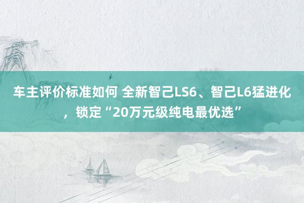 车主评价标准如何 全新智己LS6、智己L6猛进化，锁定“20万元级纯电最优选”