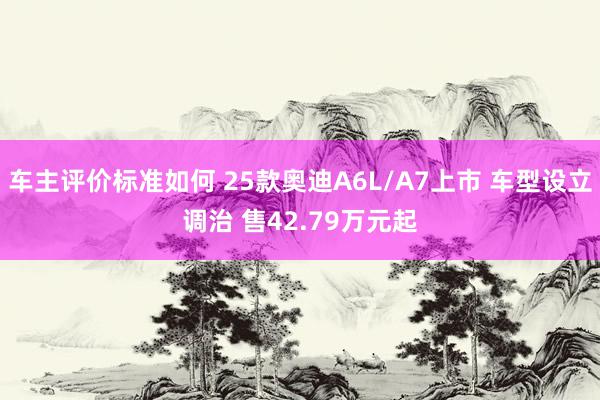 车主评价标准如何 25款奥迪A6L/A7上市 车型设立调治 售42.79万元起