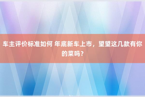 车主评价标准如何 年底新车上市，望望这几款有你的菜吗？