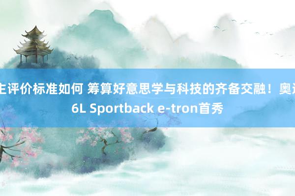 车主评价标准如何 筹算好意思学与科技的齐备交融！奥迪Q6L Sportback e-tron首秀