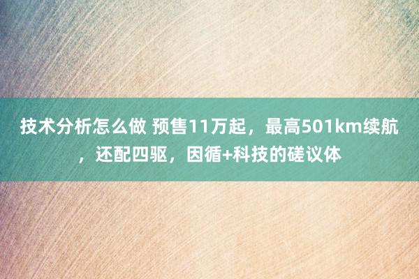 技术分析怎么做 预售11万起，最高501km续航，还配四驱，因循+科技的磋议体