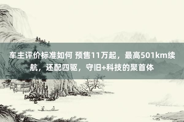 车主评价标准如何 预售11万起，最高501km续航，还配四驱，守旧+科技的聚首体