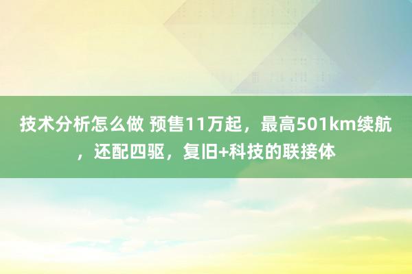 技术分析怎么做 预售11万起，最高501km续航，还配四驱，复旧+科技的联接体