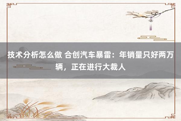 技术分析怎么做 合创汽车暴雷：年销量只好两万辆，正在进行大裁人