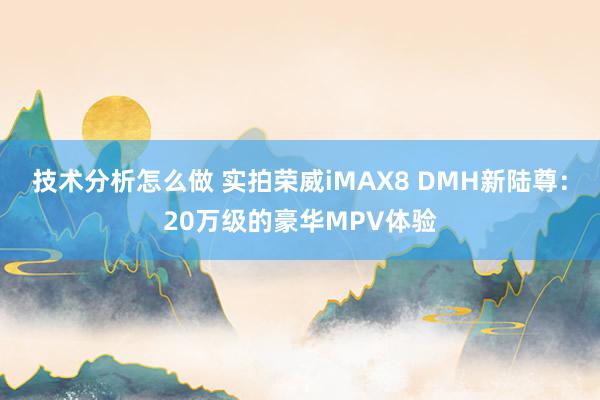 技术分析怎么做 实拍荣威iMAX8 DMH新陆尊：20万级的豪华MPV体验