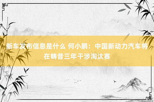 新车发布信息是什么 何小鹏：中国新动力汽车将在畴昔三年干涉淘汰赛