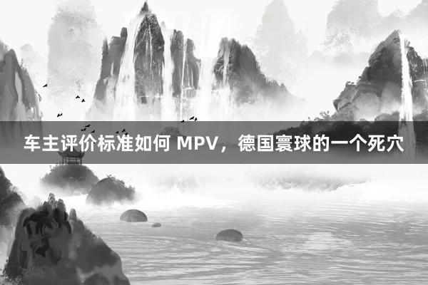 车主评价标准如何 MPV，德国寰球的一个死穴