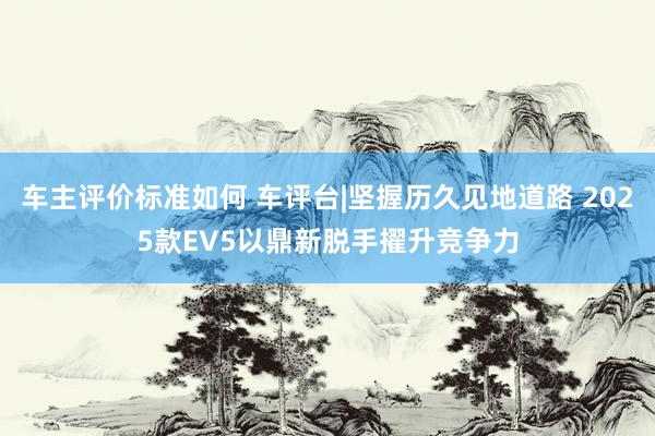 车主评价标准如何 车评台|坚握历久见地道路 2025款EV5以鼎新脱手擢升竞争力