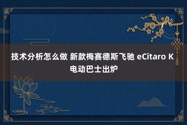 技术分析怎么做 新款梅赛德斯飞驰 eCitaro K 电动巴士出炉