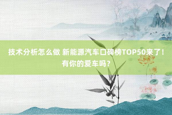 技术分析怎么做 新能源汽车口碑榜TOP50来了！有你的爱车吗？