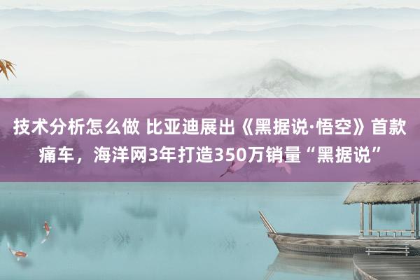 技术分析怎么做 比亚迪展出《黑据说·悟空》首款痛车，海洋网3年打造350万销量“黑据说”