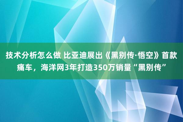 技术分析怎么做 比亚迪展出《黑别传·悟空》首款痛车，海洋网3年打造350万销量“黑别传”