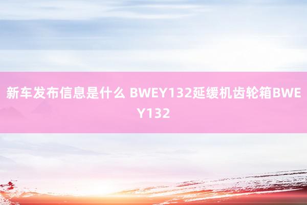 新车发布信息是什么 BWEY132延缓机齿轮箱BWEY132