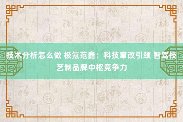 技术分析怎么做 极氪范鑫：科技窜改引颈 智驾技艺制品牌中枢竞争力