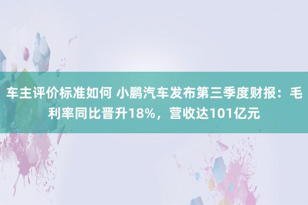 车主评价标准如何 小鹏汽车发布第三季度财报：毛利率同比晋升18%，营收达101亿元