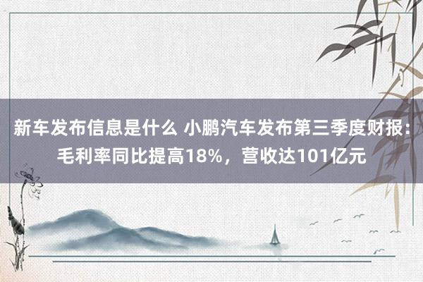 新车发布信息是什么 小鹏汽车发布第三季度财报：毛利率同比提高18%，营收达101亿元