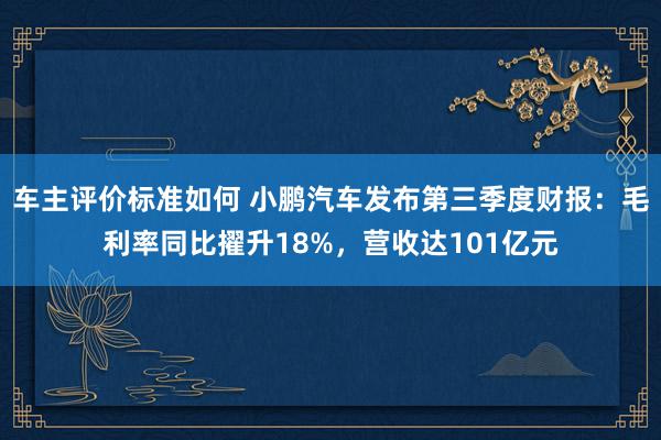 车主评价标准如何 小鹏汽车发布第三季度财报：毛利率同比擢升18%，营收达101亿元