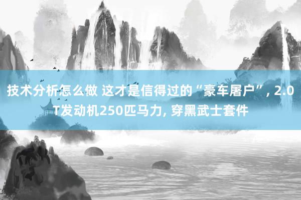 技术分析怎么做 这才是信得过的“豪车屠户”, 2.0T发动机250匹马力, 穿黑武士套件