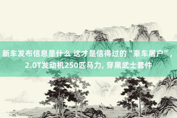 新车发布信息是什么 这才是信得过的“豪车屠户”, 2.0T发动机250匹马力, 穿黑武士套件