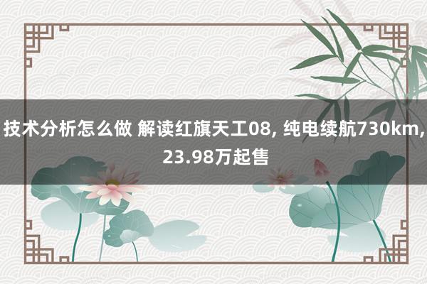 技术分析怎么做 解读红旗天工08, 纯电续航730km, 23.98万起售