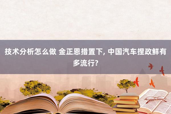 技术分析怎么做 金正恩措置下, 中国汽车捏政鲜有多流行?