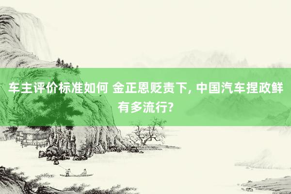 车主评价标准如何 金正恩贬责下, 中国汽车捏政鲜有多流行?