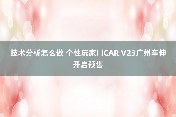 技术分析怎么做 个性玩家! iCAR V23广州车伸开启预售