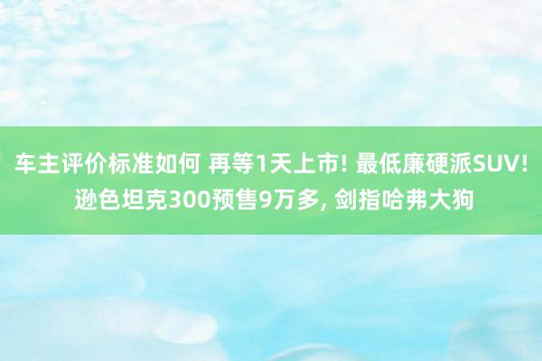 车主评价标准如何 再等1天上市! 最低廉硬派SUV! 逊色坦克300预售9万多, 剑指哈弗大狗