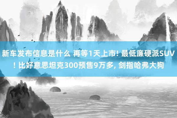 新车发布信息是什么 再等1天上市! 最低廉硬派SUV! 比好意思坦克300预售9万多, 剑指哈弗大狗