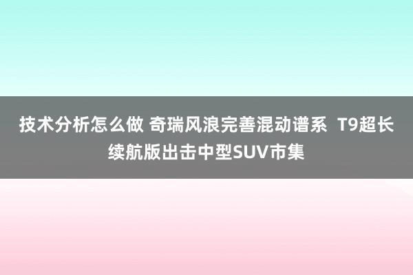 技术分析怎么做 奇瑞风浪完善混动谱系  T9超长续航版出击中型SUV市集