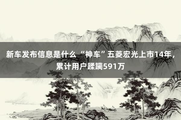 新车发布信息是什么 “神车”五菱宏光上市14年，累计用户蹂躏591万