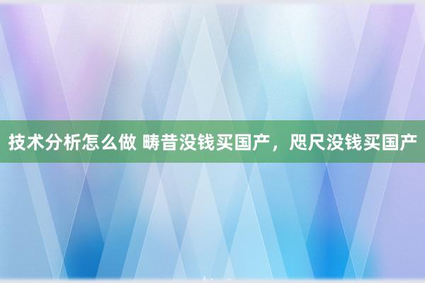 技术分析怎么做 畴昔没钱买国产，咫尺没钱买国产