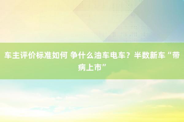 车主评价标准如何 争什么油车电车？半数新车“带病上市”