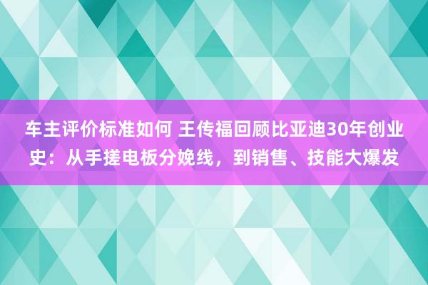 车主评价标准如何 王传福回顾比亚迪30年创业史：从手搓电板分娩线，到销售、技能大爆发