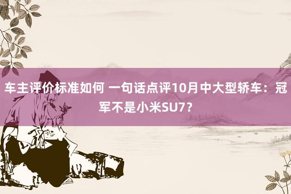 车主评价标准如何 一句话点评10月中大型轿车：冠军不是小米SU7？