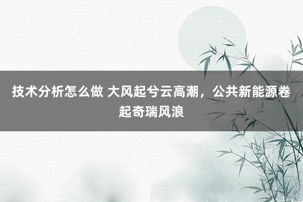 技术分析怎么做 大风起兮云高潮，公共新能源卷起奇瑞风浪