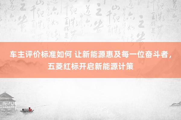 车主评价标准如何 让新能源惠及每一位奋斗者，五菱红标开启新能源计策