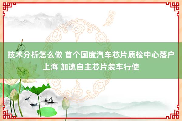 技术分析怎么做 首个国度汽车芯片质检中心落户上海 加速自主芯片装车行使