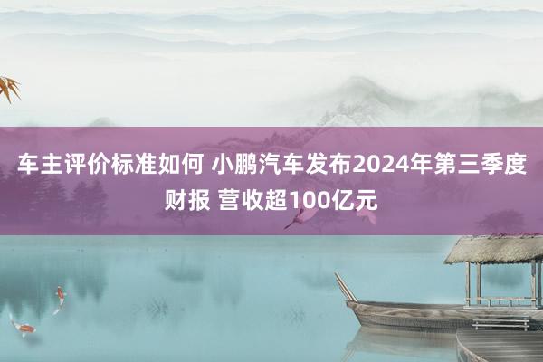 车主评价标准如何 小鹏汽车发布2024年第三季度财报 营收超100亿元