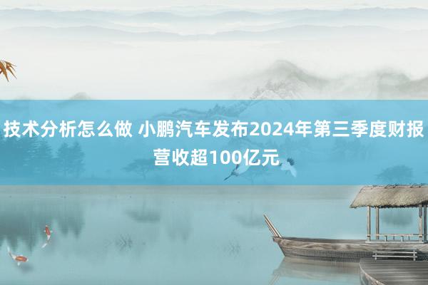 技术分析怎么做 小鹏汽车发布2024年第三季度财报 营收超100亿元