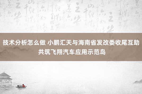 技术分析怎么做 小鹏汇天与海南省发改委收尾互助 共筑飞翔汽车应用示范岛