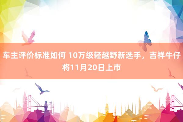 车主评价标准如何 10万级轻越野新选手，吉祥牛仔将11月20日上市