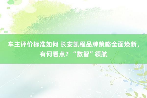 车主评价标准如何 长安凯程品牌策略全面焕新，有何看点？“数智”领航