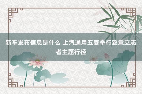 新车发布信息是什么 上汽通用五菱举行致意立志者主题行径