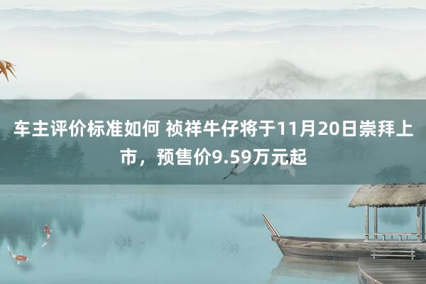 车主评价标准如何 祯祥牛仔将于11月20日崇拜上市，预售价9.59万元起