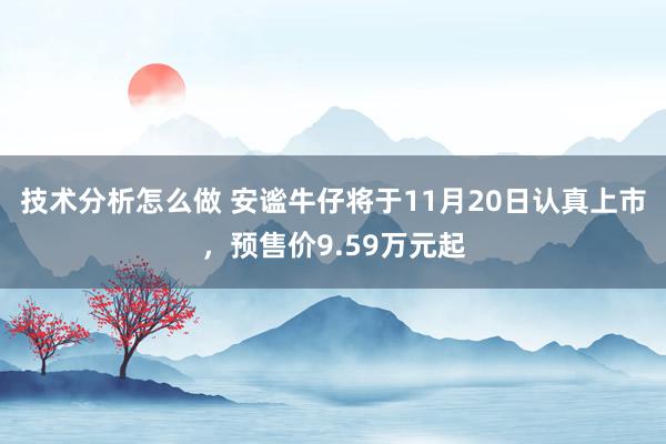 技术分析怎么做 安谧牛仔将于11月20日认真上市，预售价9.59万元起